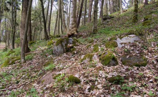 13. Ustronės riedulynas.jpg